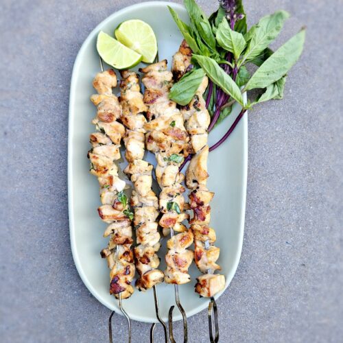 Thai Chicken Thigh Skewer